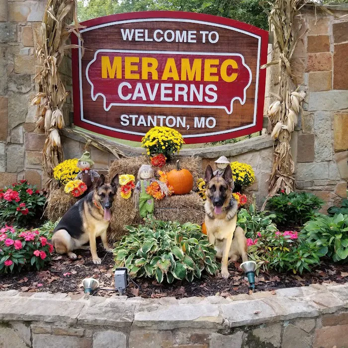 Meramec Caverns Natural Campground 1
