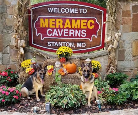 Meramec Caverns Natural Campground