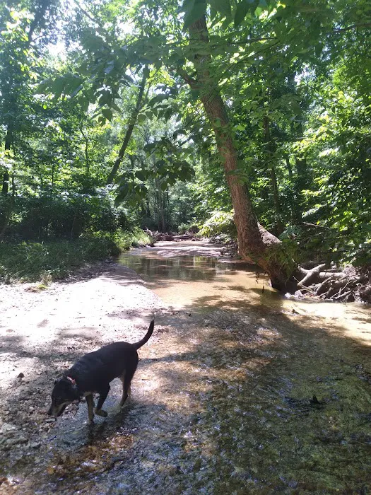 Hummingbird Hollow Outdoors 6