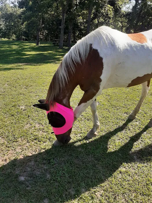 Hummingbird Hollow Outdoors 10