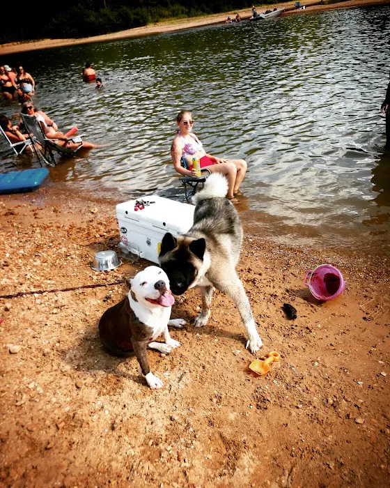 Shady Beach Campground 5
