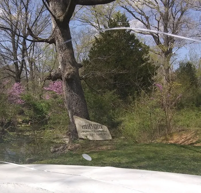 Ethan's Creek 8