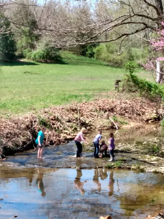 Ethan's Creek 4