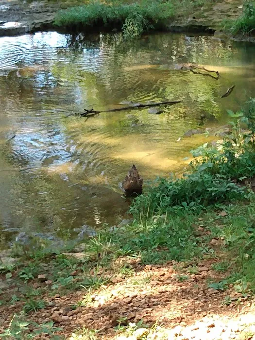 Ethan's Creek 7