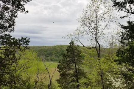 Robinson Bluff Climbing Area