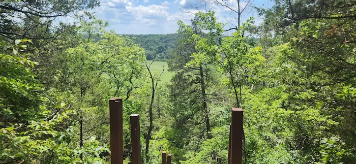 Robinson Bluff Climbing Area 3