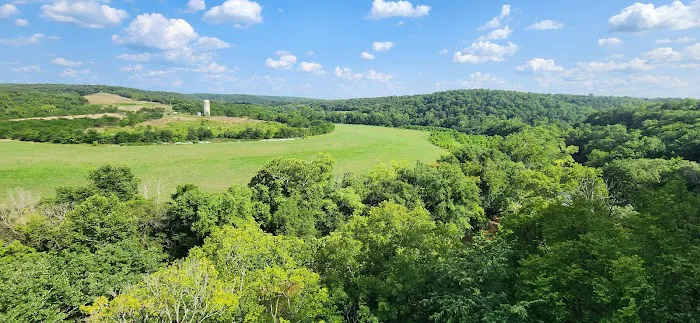 Robinson Bluff Climbing Area 4