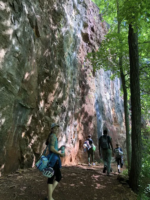 Robinson Bluff Climbing Area 8