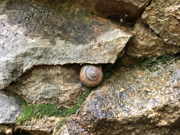 Robinson Bluff Climbing Area 9