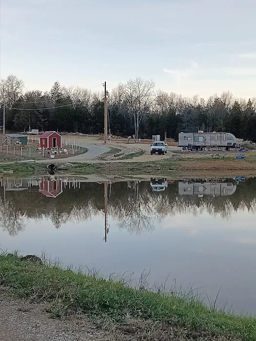 Patt's Place, LLC 4