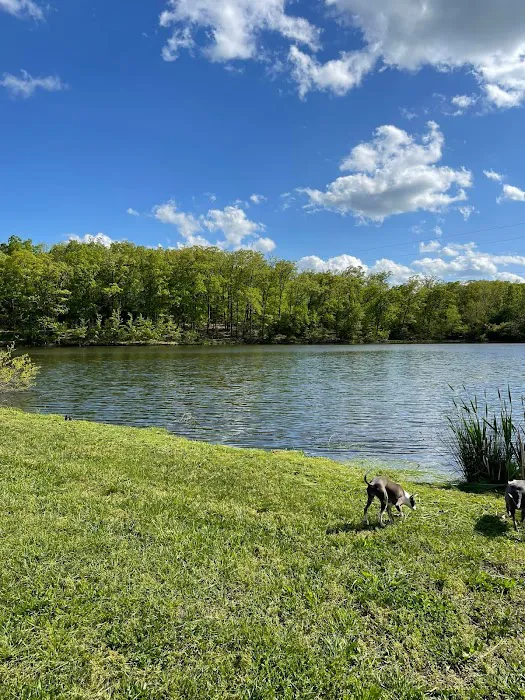 Low Valley Campground 3