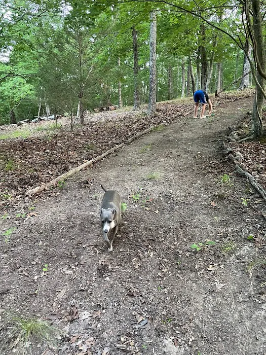 Low Valley Campground 10