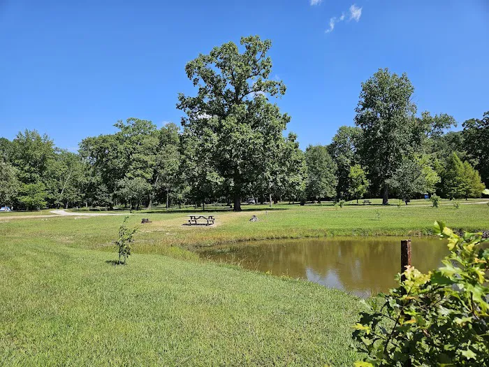 Turkey Bayou 9