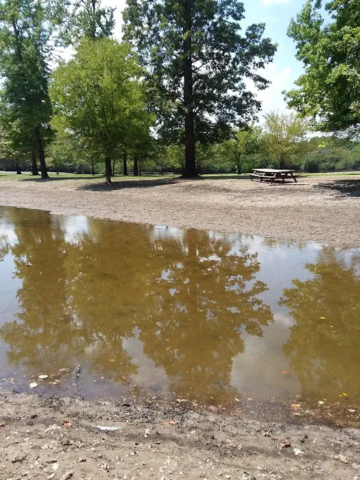 Turkey Bayou 1