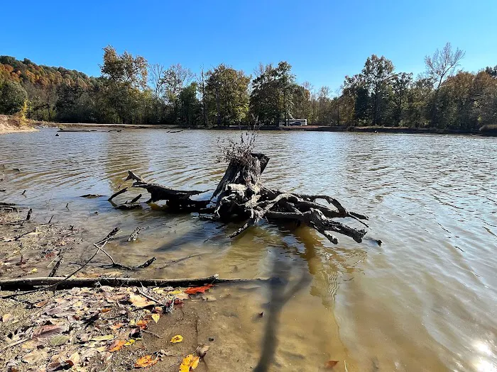 Turkey Bayou 5