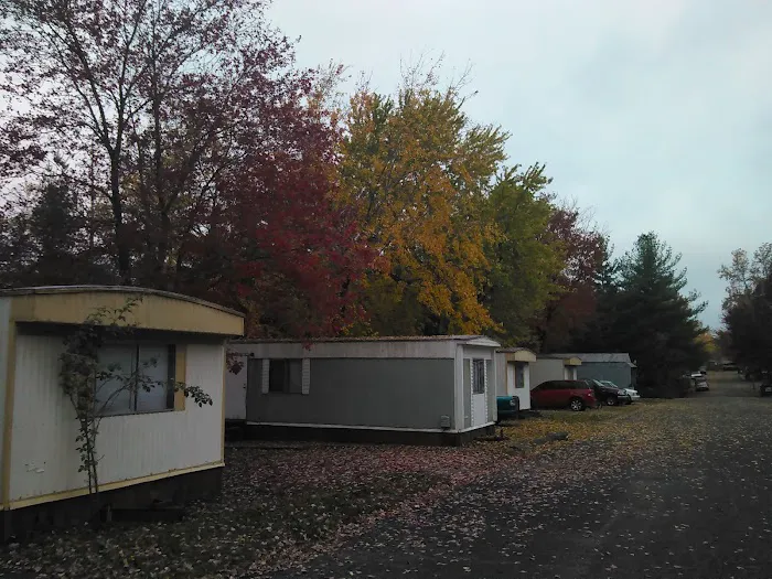 Saluki Homes 3