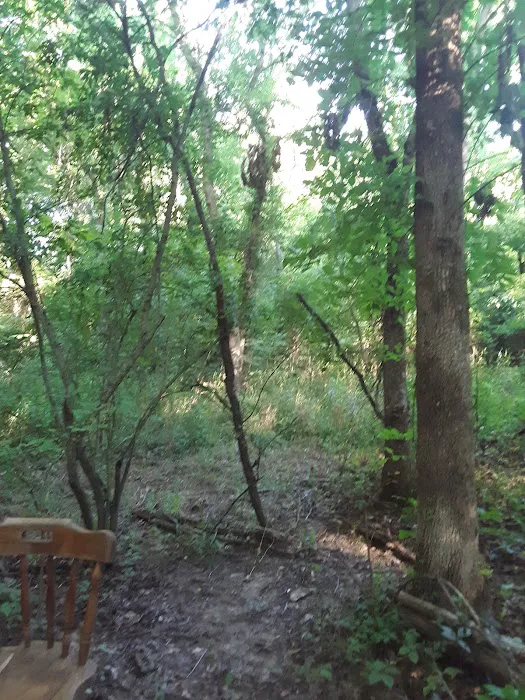 Bailey's Oasis 4