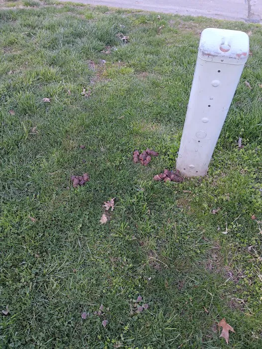 Derby Hills Pointe Mobile Home Park 3