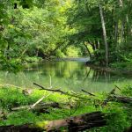 John Bryan State Park Campground
