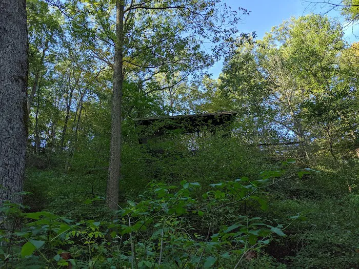 John Bryan State Park Campground 8