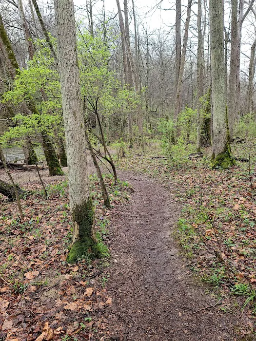 John Bryan State Park Campground 9