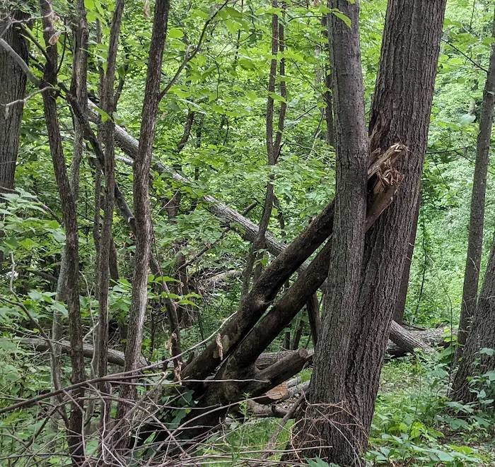 Kennedy Park Campground 10