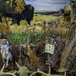 Webster County Conservation