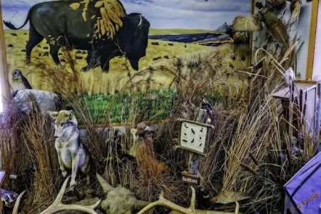 Webster County Conservation