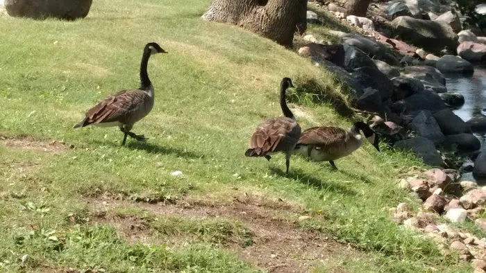 Straight Park Campground 1