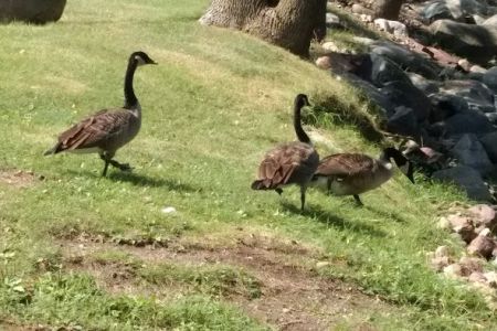 Straight Park Campground