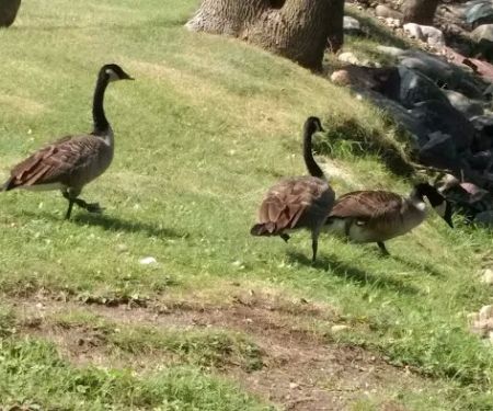 Straight Park Campground