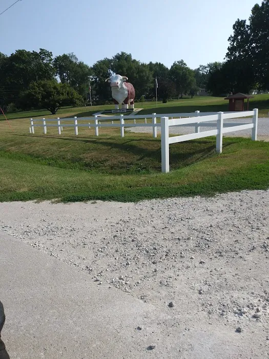 Albert the Bull Campground 5