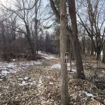 Elk Horn Creek Recreation Area