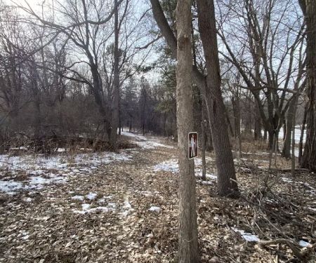 Elk Horn Creek Recreation Area