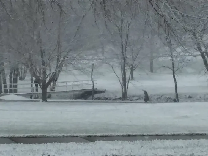 Sunnyside Park Campground 8