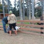 Camelot Acres Manufactured Home Community