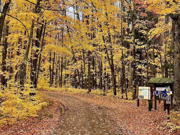 Courtney Lake Campground 4