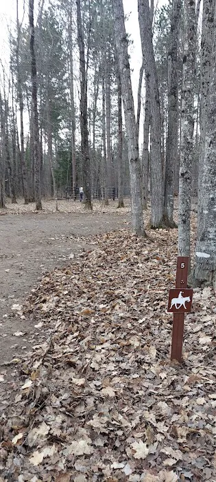 Courtney Lake Campground 3