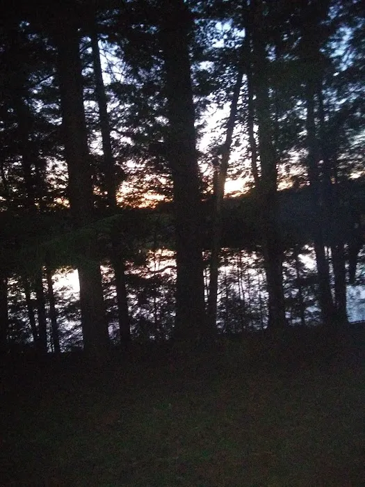 Courtney Lake Campground 10