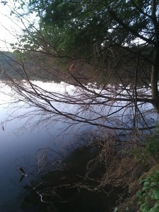 Courtney Lake Campground 6