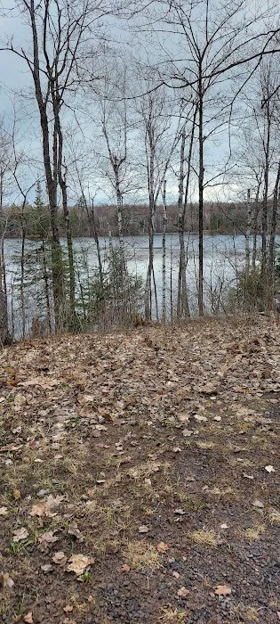 Courtney Lake Campground 8