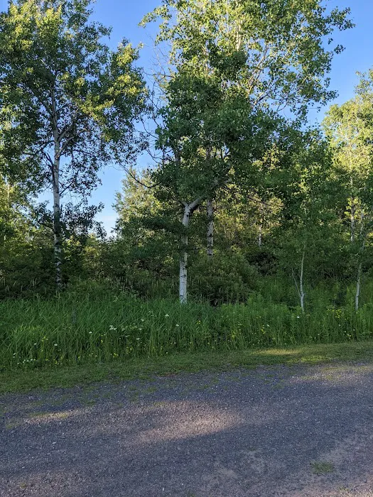 Stannard Township RV Campground 7