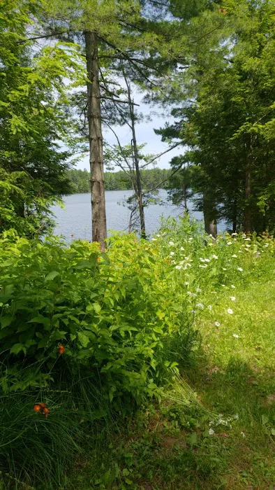 Emily Lake State Forest Campground 8