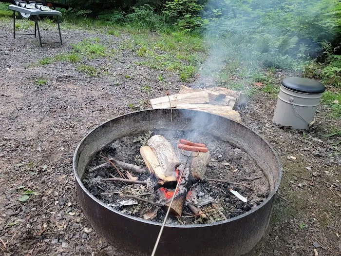 Emily Lake State Forest Campground 10