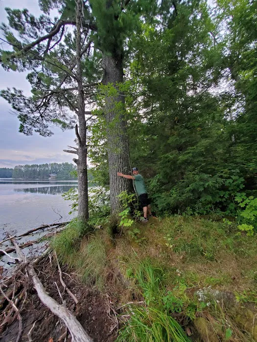 Emily Lake State Forest Campground 5