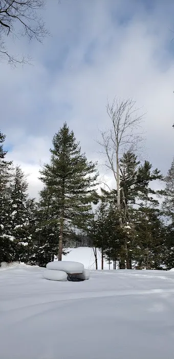Emily Lake State Forest Campground 2