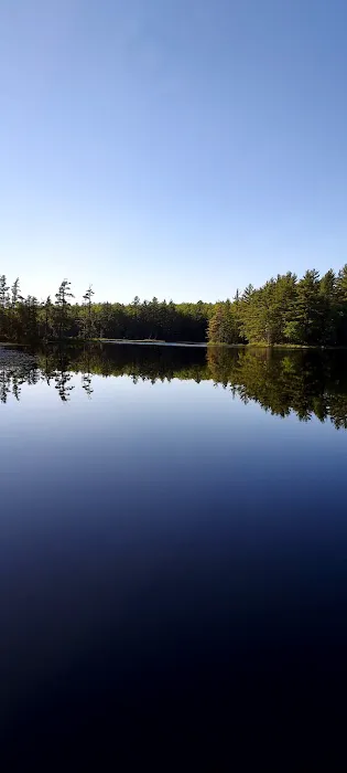Emily Lake State Forest Campground 7