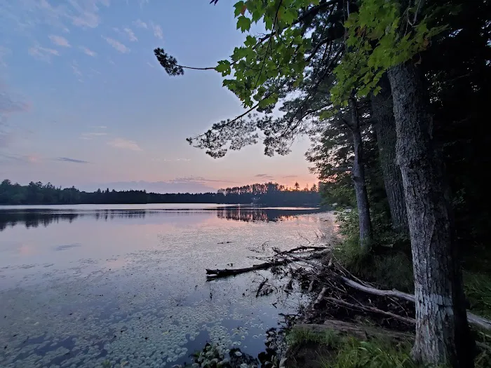 Emily Lake State Forest Campground 6