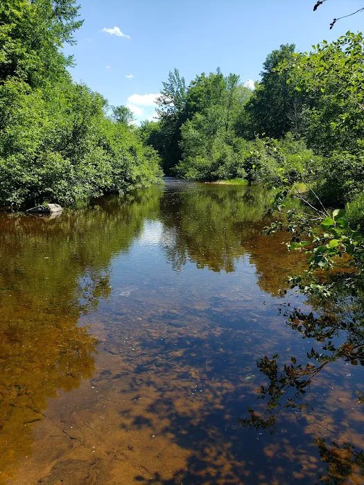 Big Eric's Bridge State Forest Campground 6