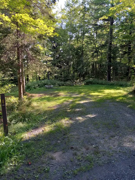 Big Eric's Bridge State Forest Campground 9